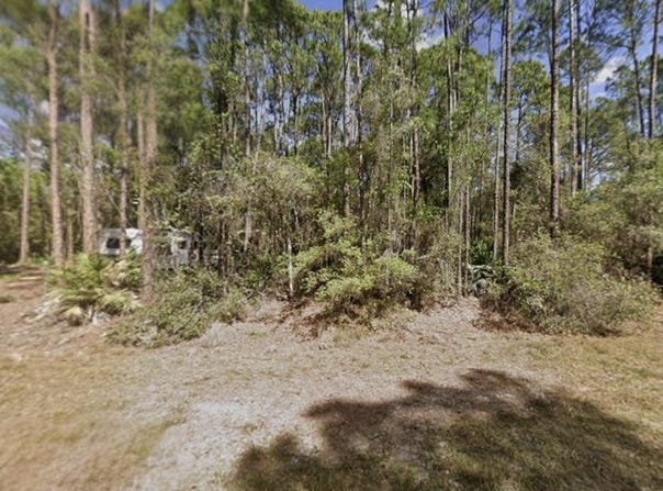 104 Helen Ave, Georgetown, FL 32139