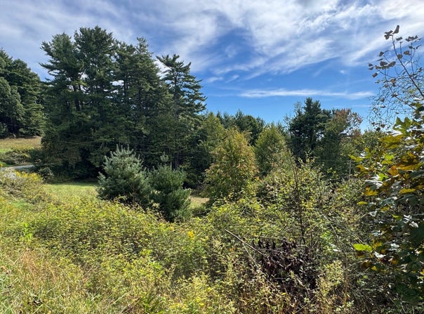 215 Spanish Oak Rd, Newland, NC 28657
