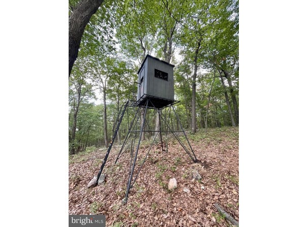 979, Tract 4 KESSEL ROAD, GREAT CACAPON, WV 25422
