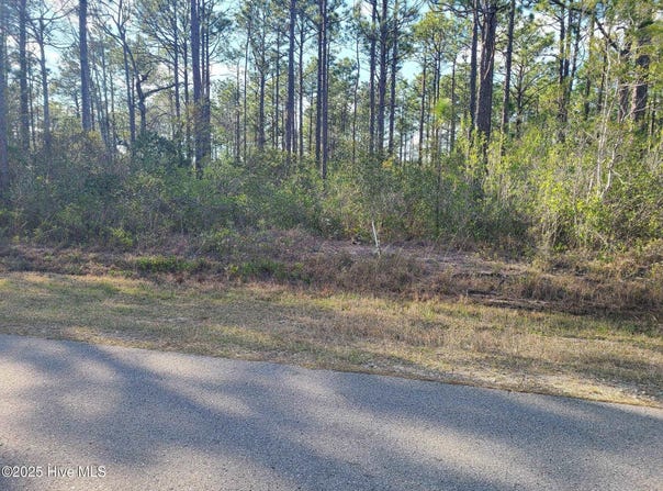 Lot 208 Pepperhill Road, Boiling Spring Lakes, NC 28461