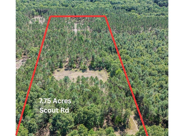 7.75 Acres Scout Road, Mears, MI 49436