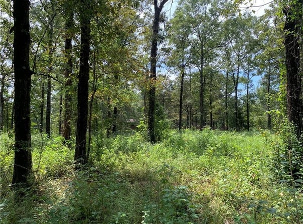 Bell Drive, Creola, AL 36525