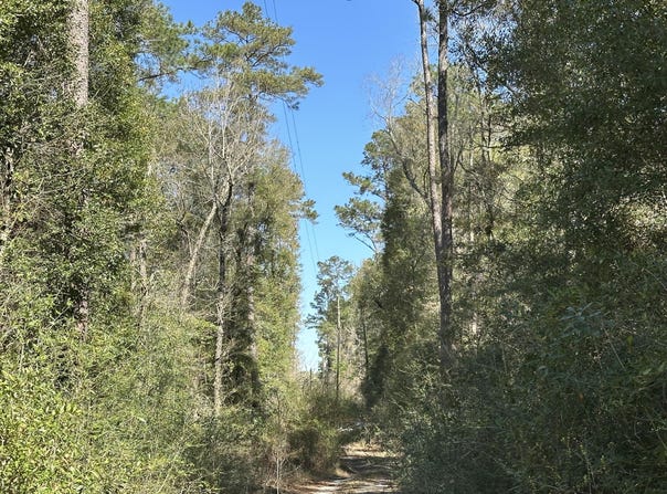 Lots 13 & 14 Coon Bottom Est, Ponce De Leon, FL 32455