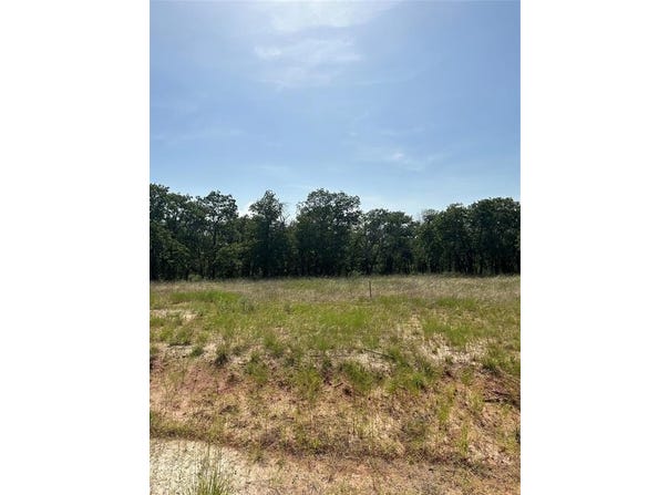 00 Stallion Meadows, Perrin, TX 76486