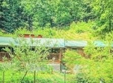 9122 Pickens Gap Road, Knoxville, TN 37920