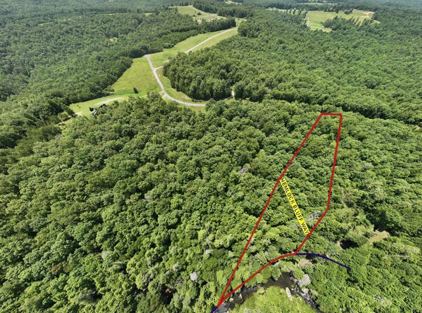 0 Hemlock Bluff Way, Deer Lodge, TN 37726