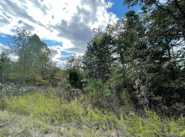 13 Woodland Heights W, Poplar Bluff, MO 63901