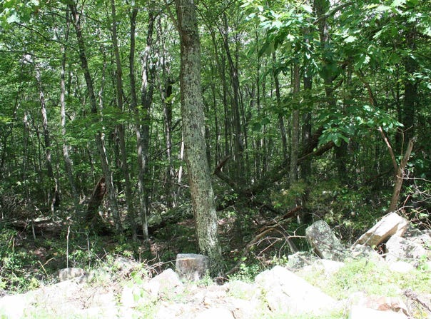 TBD HIGH VALLEY SOUTH, MONTEREY, VA 24465