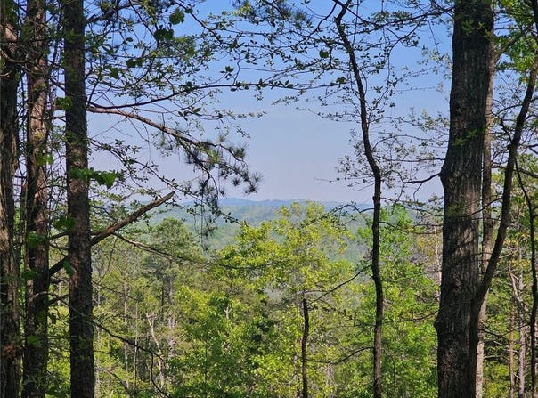391 Meteor Court NE, Ranger, GA 30734