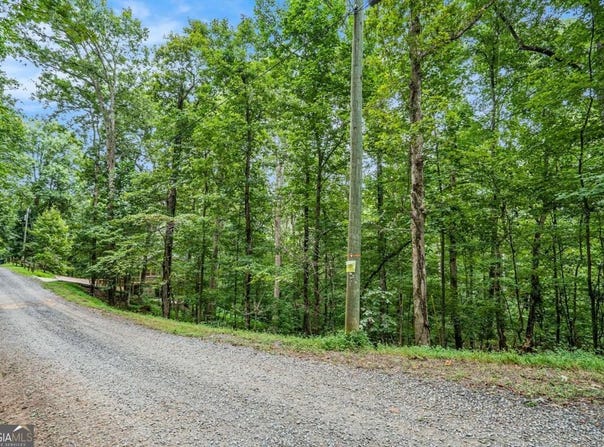 Lot 72 Huron, Ellijay, GA 30540