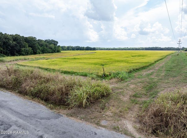 Leger Road lot: 3, Crowley, LA 70526
