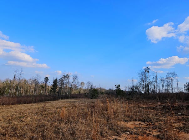 Hwy 35, Collins, MS 39428