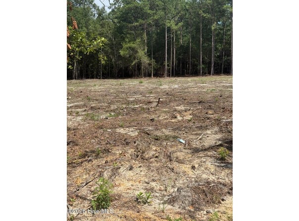 107051-1 Hancock Landing Road, Waynesboro, GA 30830