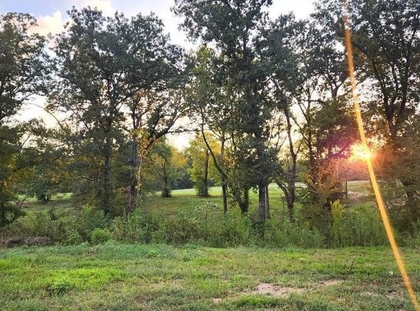 XXX (Tract 02) Wilde Pond, Story, AR 71970-9999