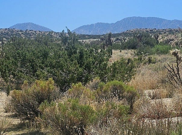 0 Avenue X / 136th St E, Pearblossom, CA 93553