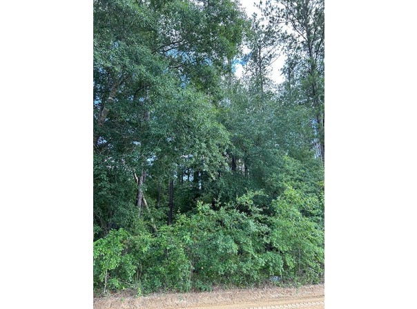 Crestview Dr lot: 38, Abbeville, GA 31001