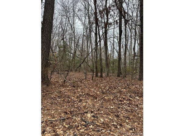Occoneechee Trail lot: 58, Henrico, NC 27842