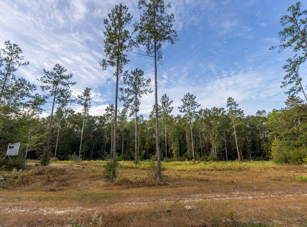 Whitehouse Fork Road, Bay Minette, AL 36507