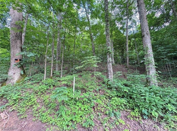 50530 Wargo Road, Caldwell, OH 43724