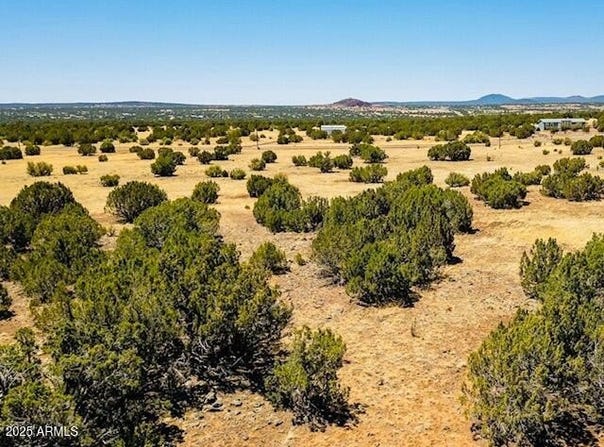 8692 SUPANCHECK Road, Show Low, AZ 85901