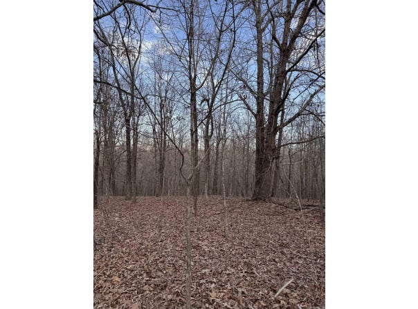 County Road 470, Rector, AR 72461