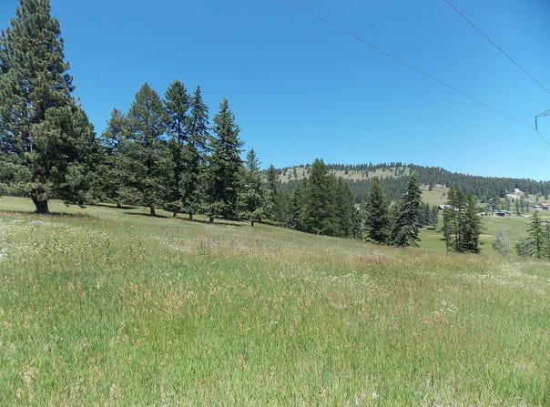 720 Morning View Drive, Kalispell, MT 59901
