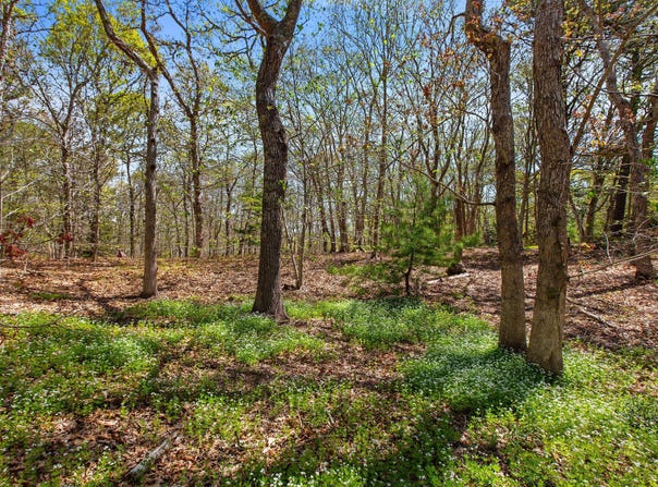 Landing Drive, Brewster, MA 02631