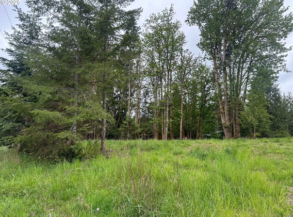 Oregon Tax ID 436205 AVE, Vernonia, OR 97064