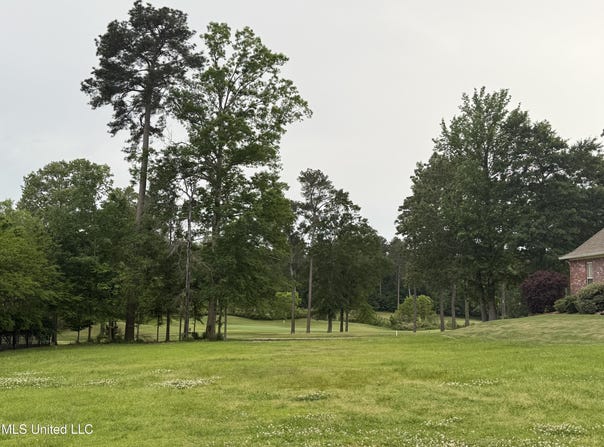126 Woodlands Glen Circle, Brandon, MS 39047