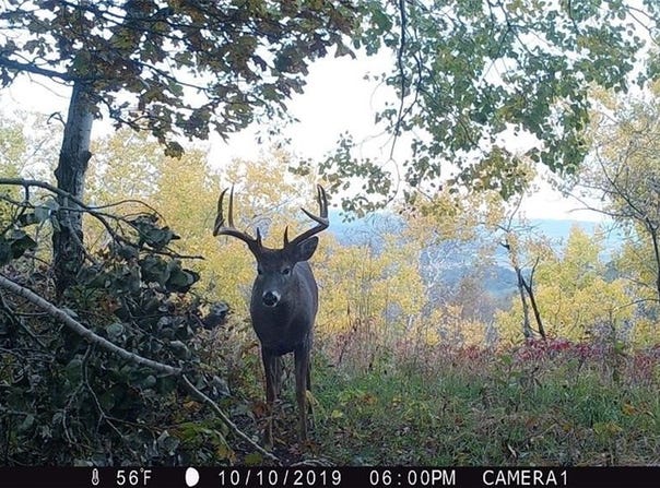 Simons Rd, Alma, WI 54610