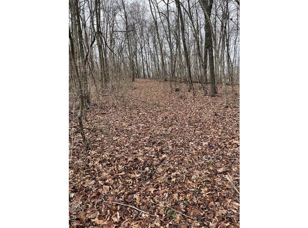00 Mo-49, Bixby, MO 65439