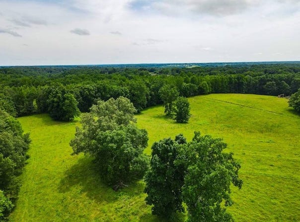 496 County Road 496, Lexington, AL 35648