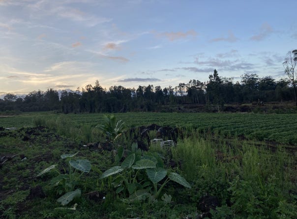 18-1585 VOLCANO RD, Volcano, HI 96785