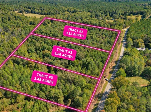 TRACT 3 Lees Bridge Rd, Delta, AL 36258