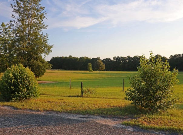 TBD Poinsettia Road, Wagener, SC 29164