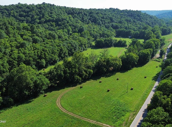 3397 Barebone Rd, Bedford, KY 40006