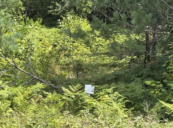 Daisys Way, Kinross, MI 49752