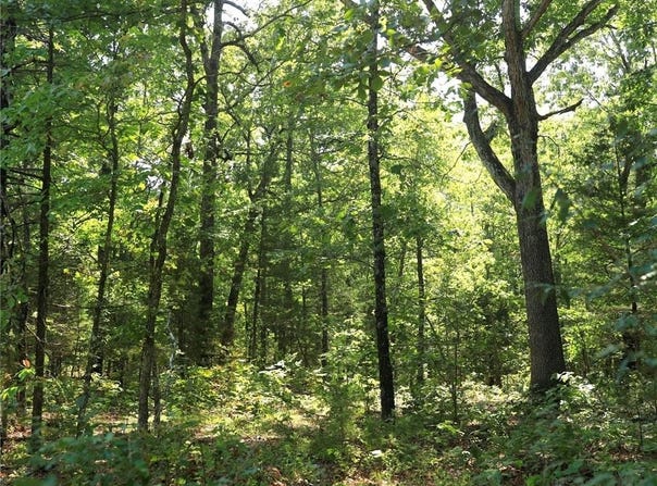 602 Catbird  CIR, Horseshoe Bend, AR 72512