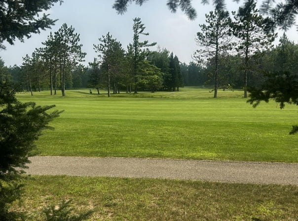 20935 E Riverside Drive lot: 4, Hillman, MI 49746