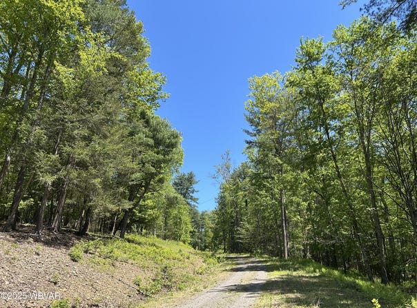 TALLMAN HOLLOW ROAD, Montoursville, PA 17754