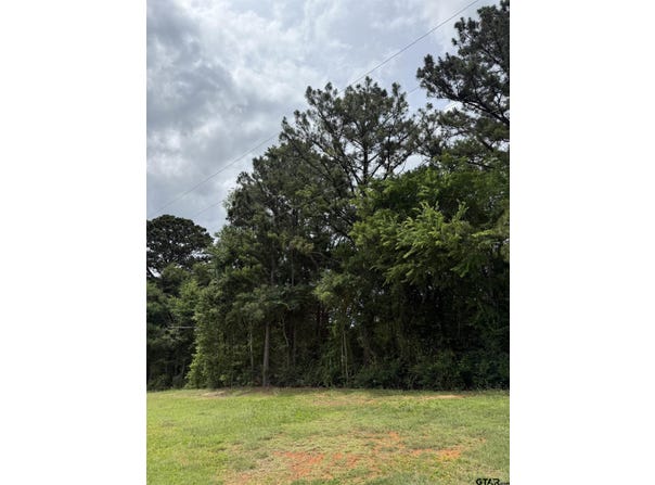 HWY 155, Palestine, TX 75803