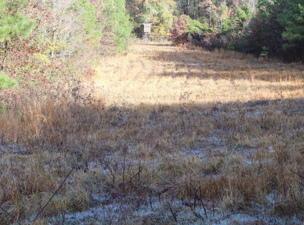 Hickory Grove Road, Nashville, AR 71852