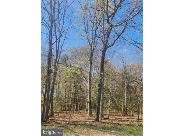 TOWER Road, BRANDYWINE, MD 20613