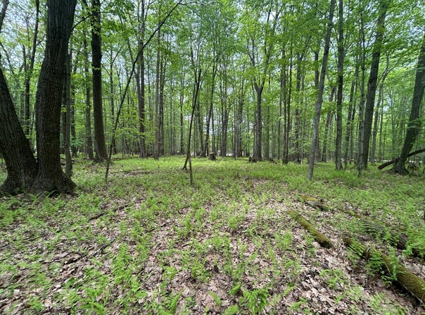 0 Galloway Rd, Dubois, PA 15801