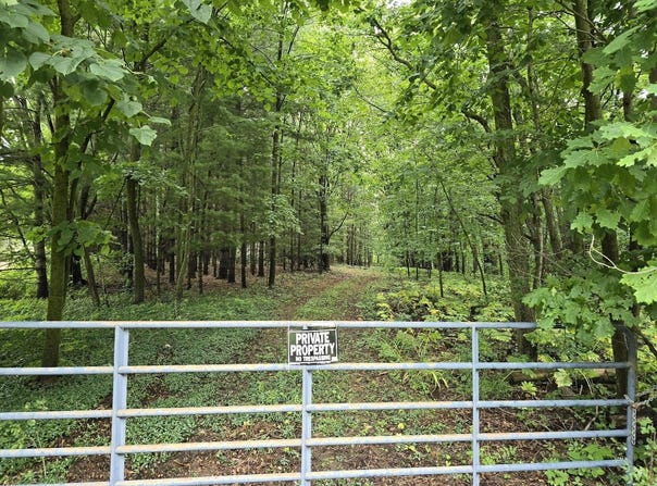 vl Lehring Rd, Burns, MI 48429