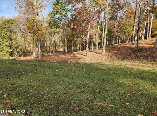 St James Lane, Clinton, TN 37716