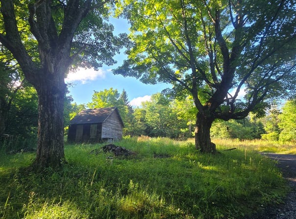 00 Knapp Rd, Rutland, NY 13626