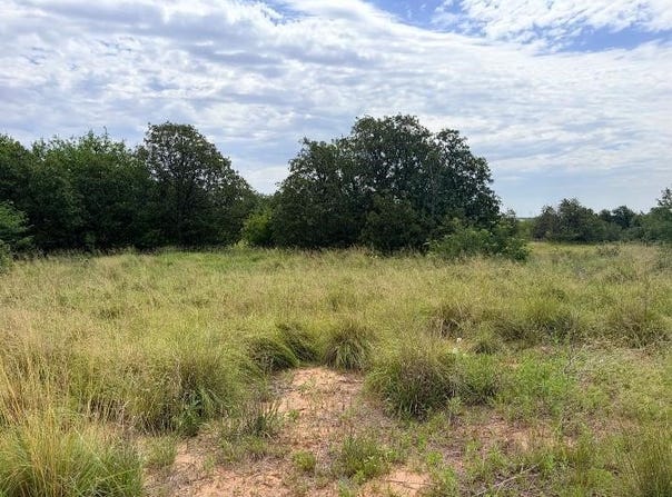 10328 N 1810 Rd, Cheyenne, OK 73628