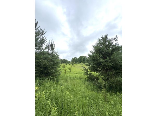 00 Hewitt, Tustin, MI 49688