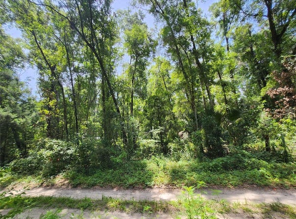 3200 NE 167 STREET, CITRA, FL 32113